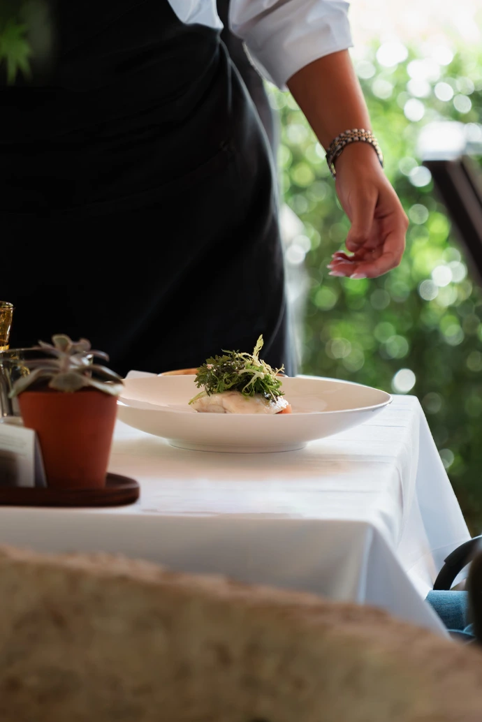 A dish on the terrace
